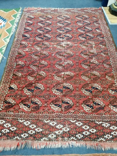 A Bokhara red ground small carpet 250 x 160cm